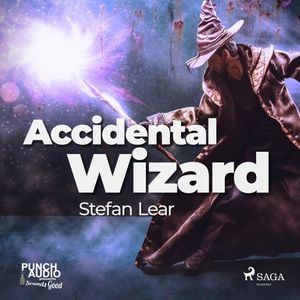 Accidental Wizard