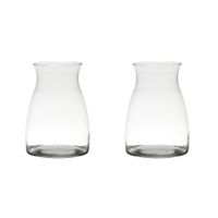 Set van 2x stuks transparante home-basics vaas/vazen van glas 20 x 14 cm