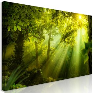 Schilderij - Zonlicht door de bomen