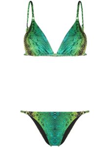 Noire Swimwear bikini Snake Tanning - Vert