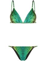 Noire Swimwear bikini Snake Tanning - Vert