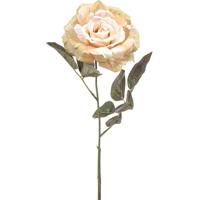 Emerald Kunstbloem roos Pascal - warm wit - 65 cm - decoratie bloemen   -