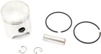 Polini Pistons 47.0 mm