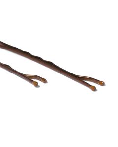 HEMA Haarschuifjes Bruin - 30 Stuks (bruin)