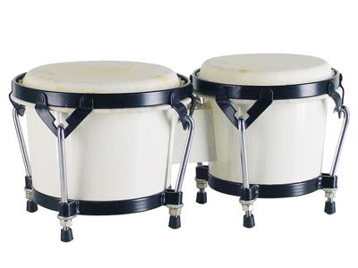 Hayman BG-405-WH bongo