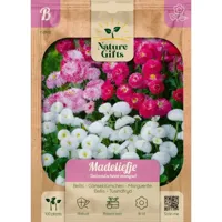 Madeliefje duizendschoon mengsel 100st