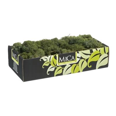 Mica Decorations Rendiermos - 500 gram - donkergroen - hobby mos