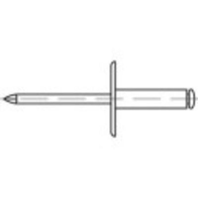 TOOLCRAFT 160171 Open popnagel (Ø x l) 4.8 mm x 20 mm Aluminium Staal 250 stuk(s)