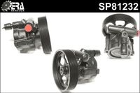 Stuurpomp SP81232