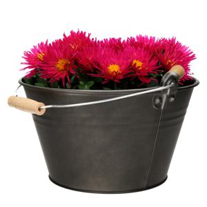 Emmer/plantenpot/bloempot - zink - donkergrijs - D27 x H15 cm