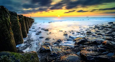 Alexsar Art Tuinschilderij strand palen 130x70cm