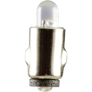 51931 LED-lamp Wit BA5s 19 V 1 stuk(s)