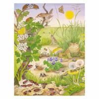 Deltas Kijk- en zoekboek - kriebeldiertjes