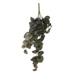 Peperomia kunstplant - hangplant - 58 x 14 cm - Kamer/kantoor planten