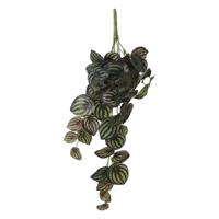 Peperomia kunstplant - hangplant - 58 x 14 cm - Kamer/kantoor planten