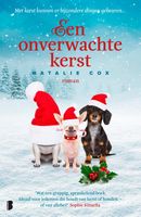 Een onverwachte kerst - Natalie Cox - ebook