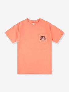 T-shirt Canyon Landscape LEVI'S® sinaasappel