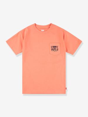 T-shirt Canyon Landscape LEVI'S® sinaasappel
