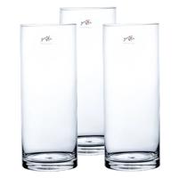 3x Cilinder bloemen vaas helder glas 12 x 30 cm
