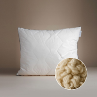 Hoofdkussen - 100% Australische Wol - Voor Zij- & Rug- En Buikslaper - Wol - Natuurlijk & Warm En Vochtregulerend - Dekbed-Discounter.nl