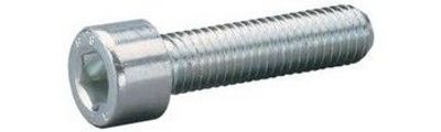 Bofix Inbusbout m6x12 rvs per 25