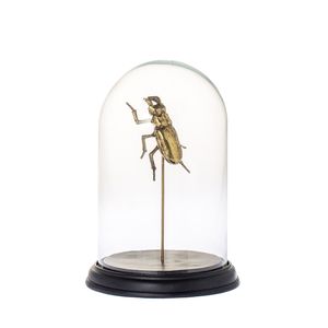 Stolp Bug goud 27cm