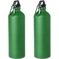 4x Stuks aluminium waterfles/drinkfles groen met schroefdop en karabijnhaak 800 ml