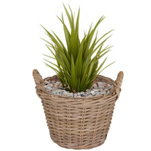 Planten/bloemen mand Levi - rotan - naturel - D39 x H25 cm - plantenpot voor buiten