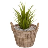 Planten/bloemen mand Levi - rotan - naturel - D39 x H25 cm - plantenpot voor buiten