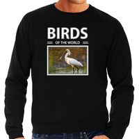 Lepelaars vogel sweater / trui met dieren foto birds of the world zwart voor heren - thumbnail