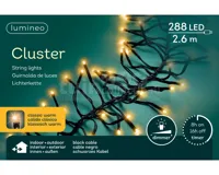Clusterverlichting 288 LED 2,6m CW