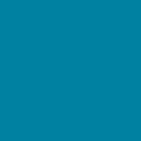 Fiches Iris Marineblauw