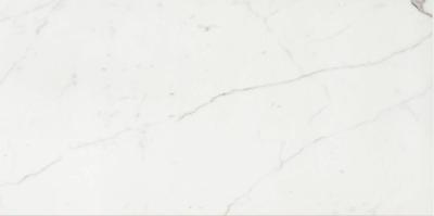Vloer-/wandtegel marmerlook Cerim Timeless 120x60cm calacatta glans gerectificeerd