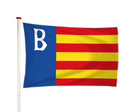 Vlag Brongerga - Brongergea (fr)