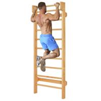 Klimwand met Optrekstang & 10 Sporten Gymnastiekwand Sporttoestel 150kg Draagvermogen Indoor Klimrek voor Volwassenen Kinderen