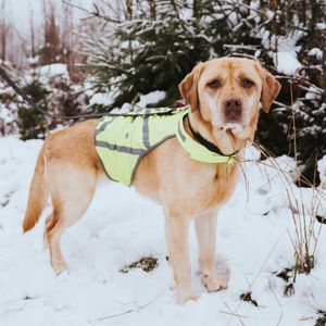 Hunter 42230 veiligheidshesje voor honden M Polyester Geel