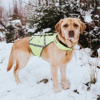 Hunter 42230 veiligheidshesje voor honden S Polyester Geel - thumbnail