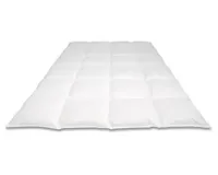 Nightkiss Nightkiss 90% EU-eendendons 140x220 Winter - 770 gram