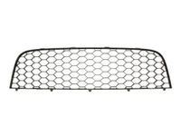Ventilatiegrille, bumper 6502079524915P