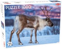 Tactic Reindeer - 1000pcs - thumbnail