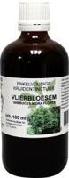 Natura Sanat Sambucus nigra / vlierbloesem tinctuur bio
