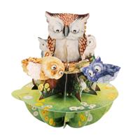 Wenskaart 3D Owls