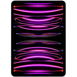 Apple iPad Pro 11 (2022) 2TB WiFi Tablet Grijs