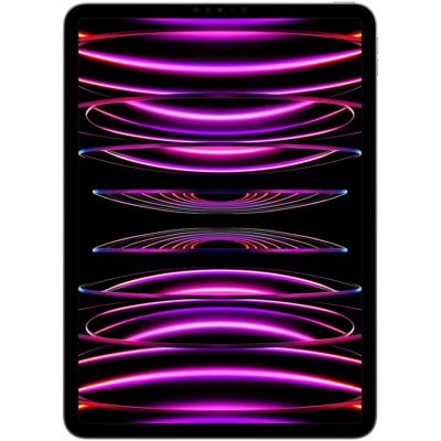 Apple iPad Pro 11 (2022) 2TB WiFi Tablet Grijs