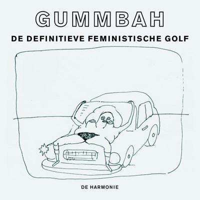 De definitieve feministische golf (Hardback)
