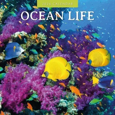 Ocean Life Kalender 2026