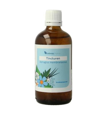 Astragalus membranaceus tincturen