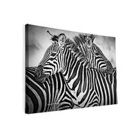 Foto op canvas Zebra - thumbnail