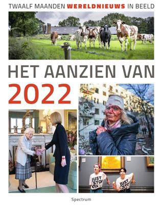 Het aanzien van 2022 (Hardback)