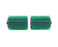 AquaForte Biopool plus borstelset voor Zodiac Alpha Bio AquaForte Biopool plus borstelset voor Zodiac Alpha Bio